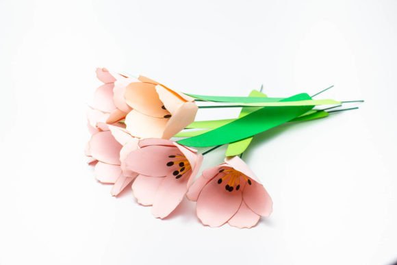 Pink Tulips, 3D Flowers: A Spring 3D SVG for Editors
